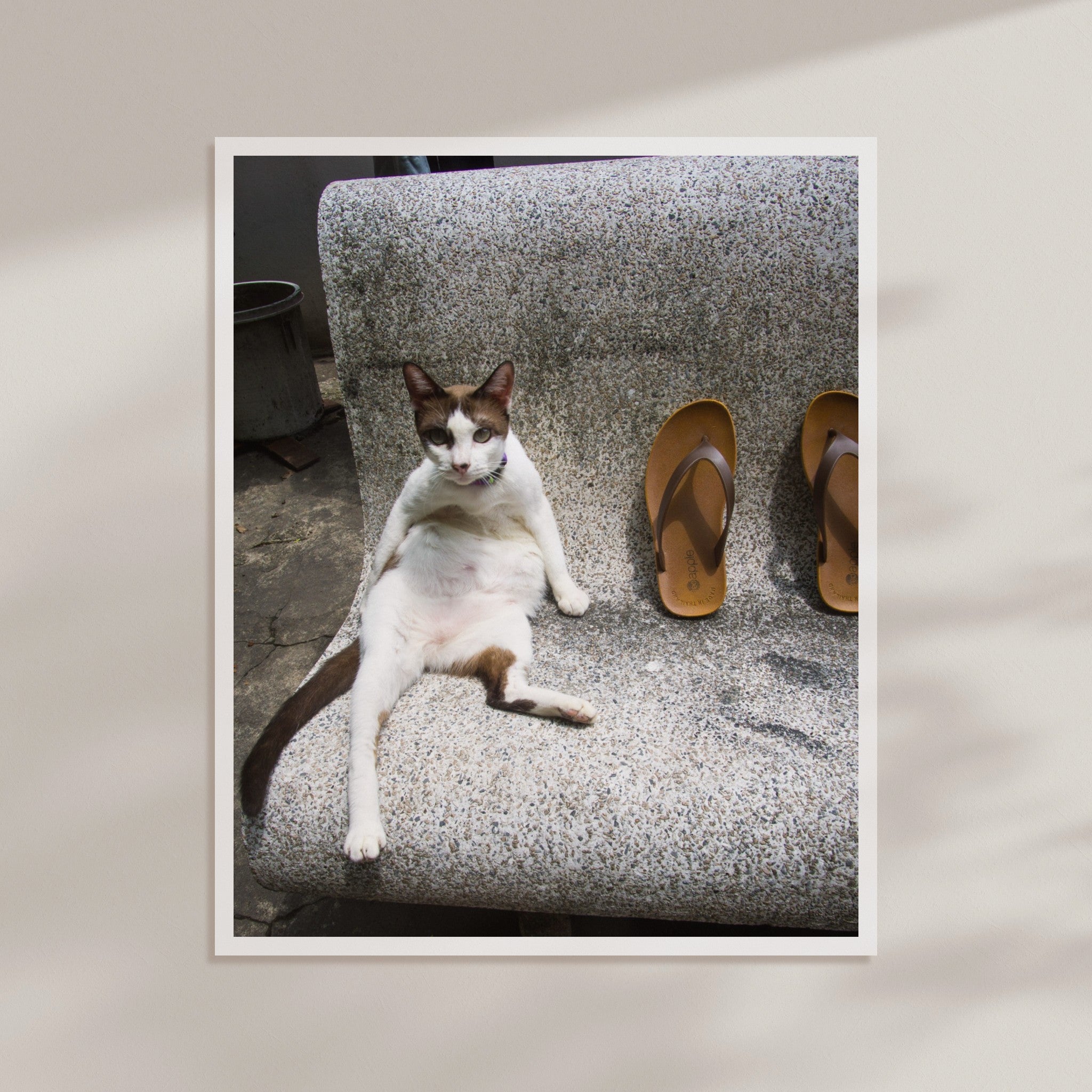 081e5b09-33dd-432f-9857-2fa517046cd0