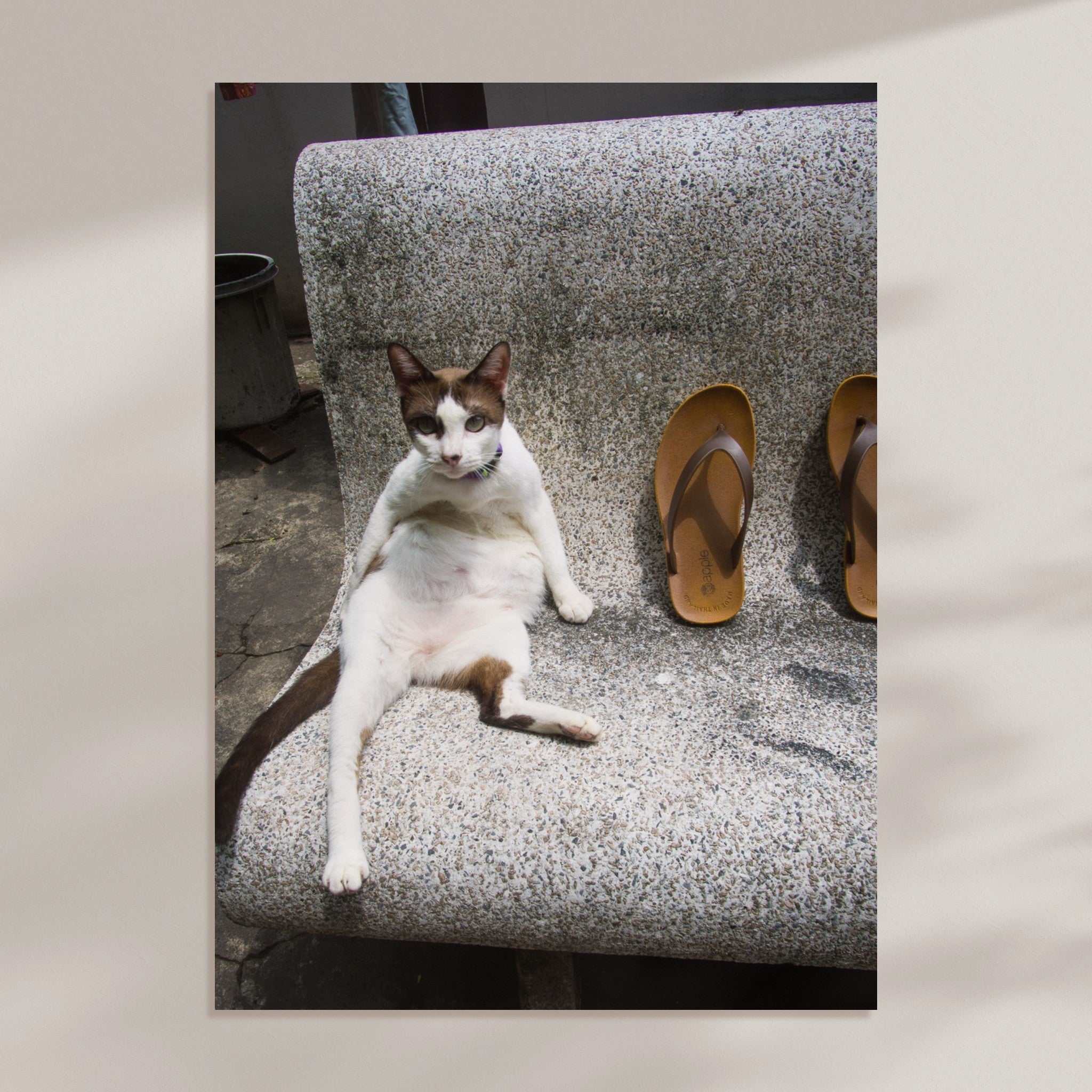 0ad1ad23-11f9-424c-ae15-1e00504b296d