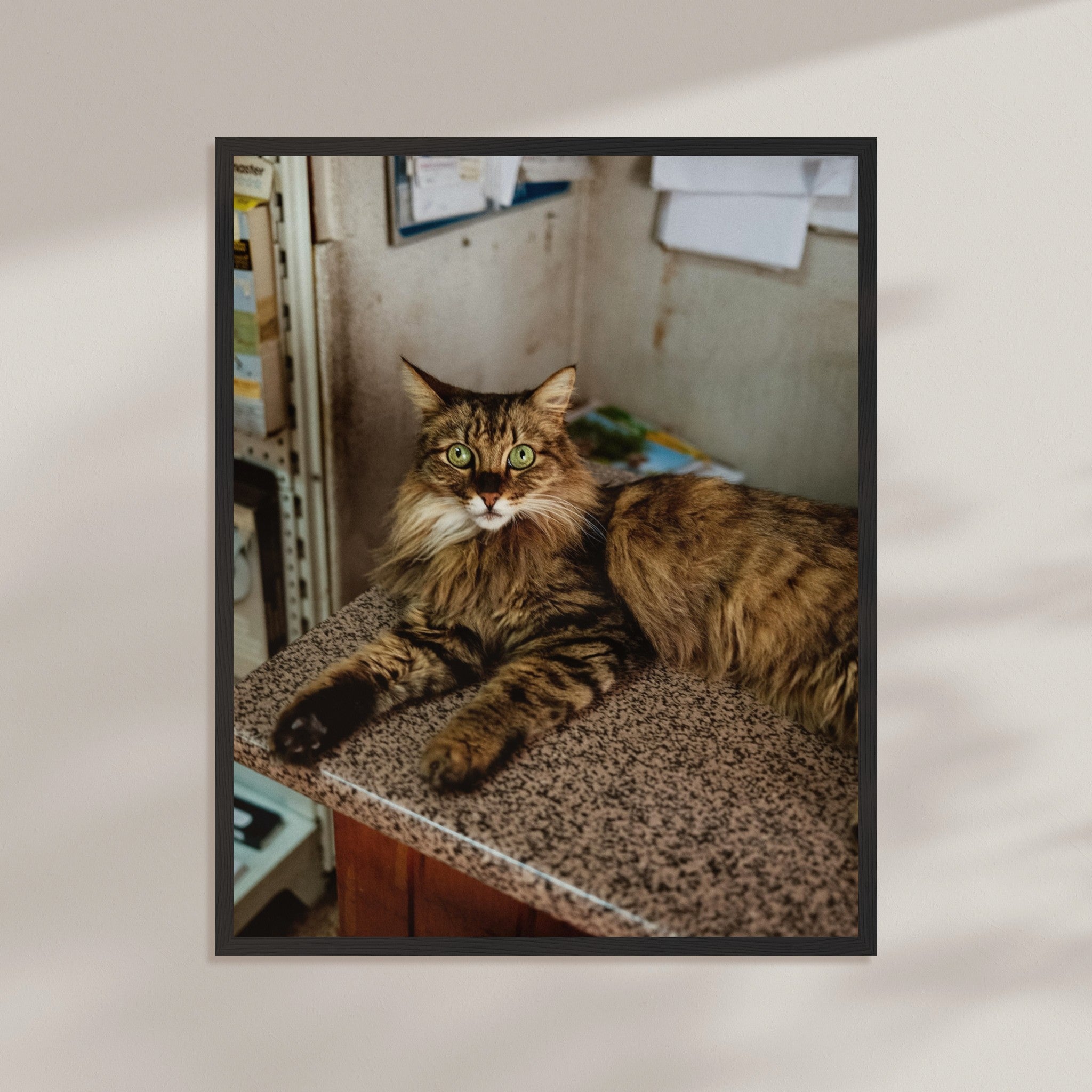 51df0be1-7257-4fa4-b91a-5e45e712da93