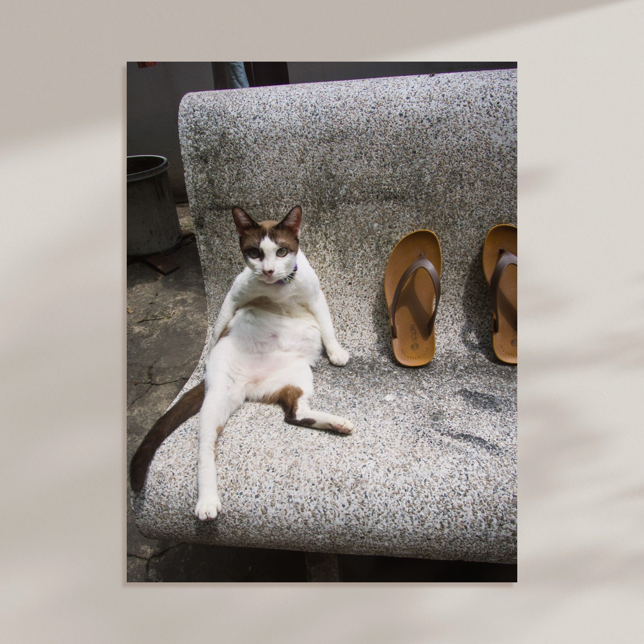 6138e310-f6e3-464c-aedd-059b1007d65a