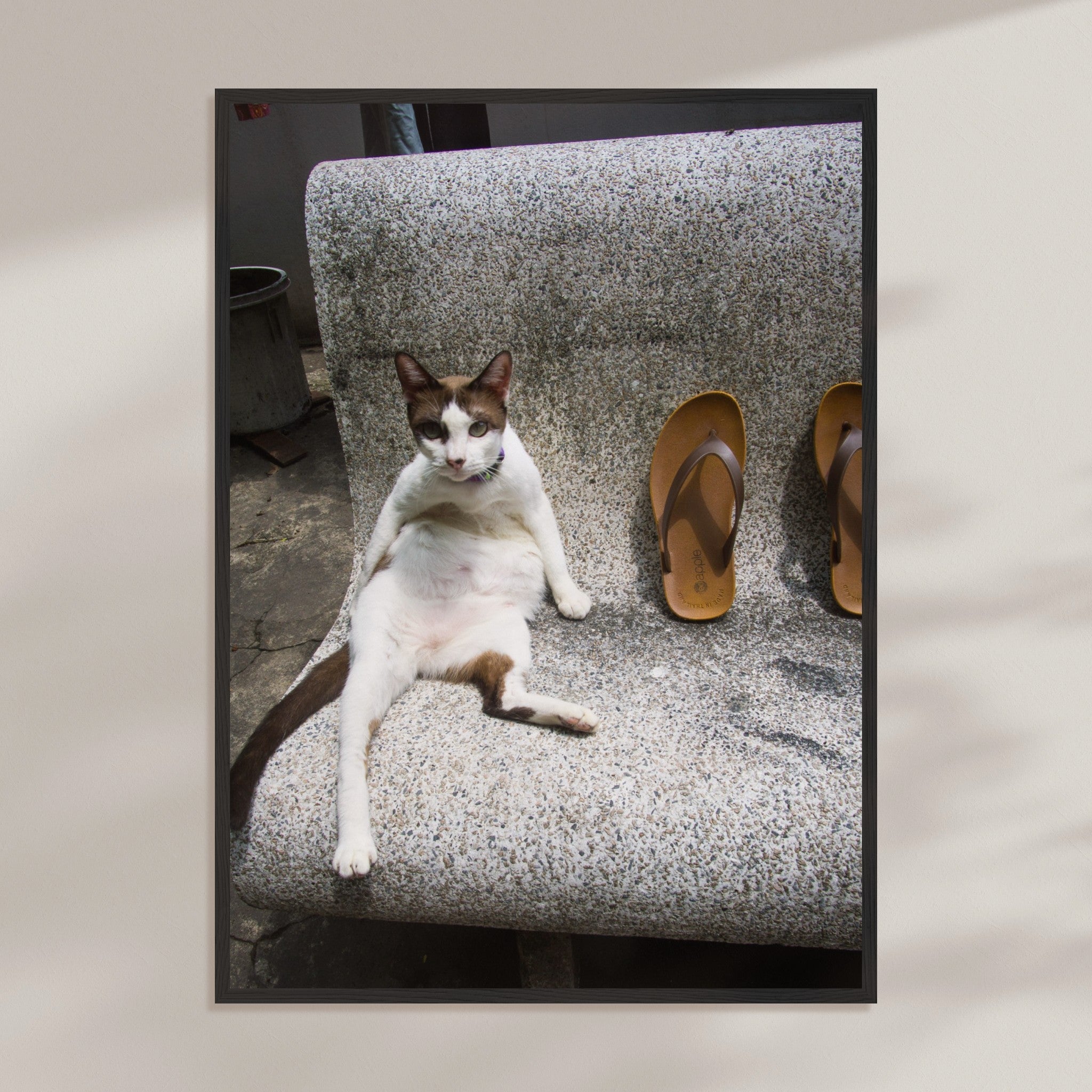 63ff33c2-a7f8-4909-b21b-b11b3b1f6d00