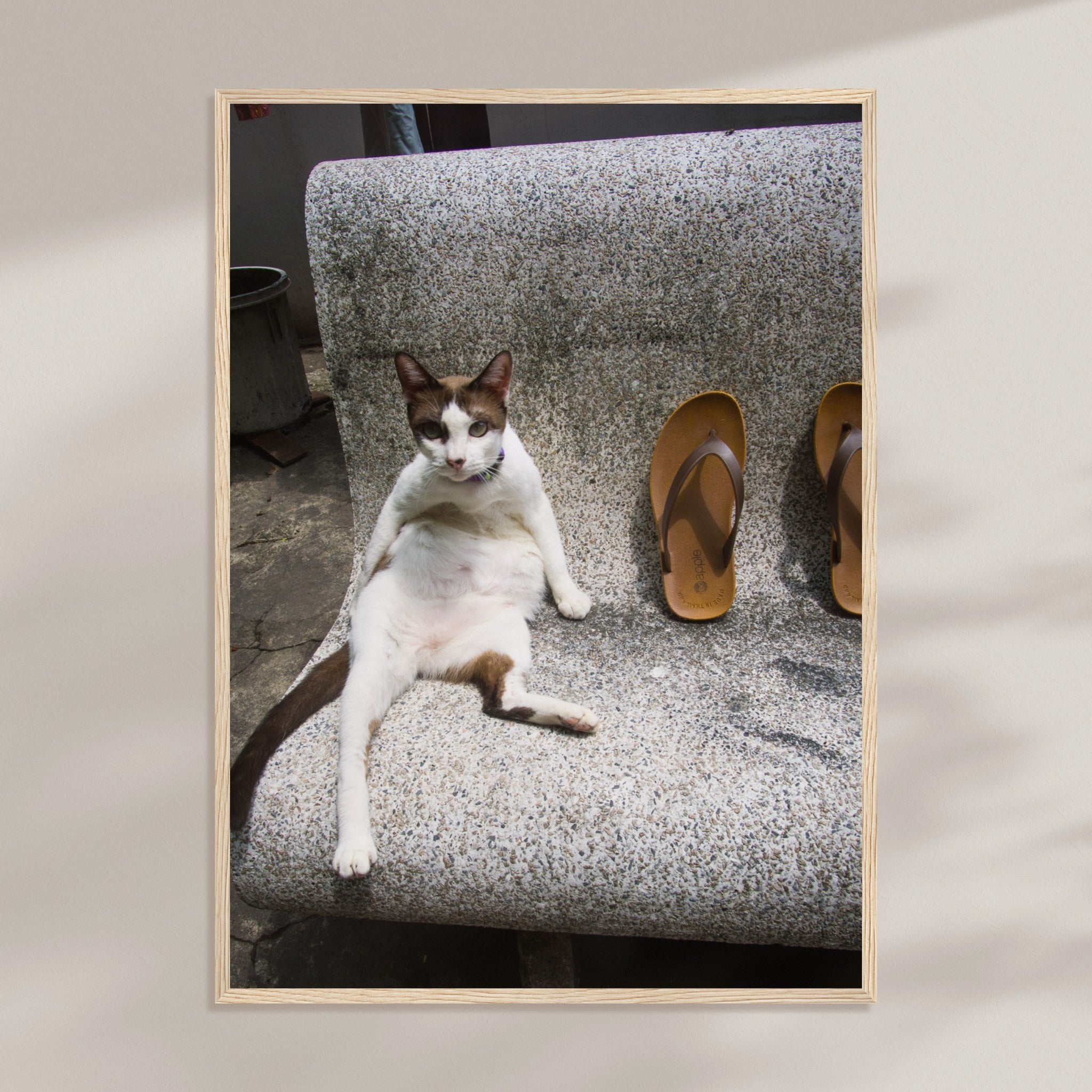 79ca8f37-c563-466f-8f33-23171bcefae4