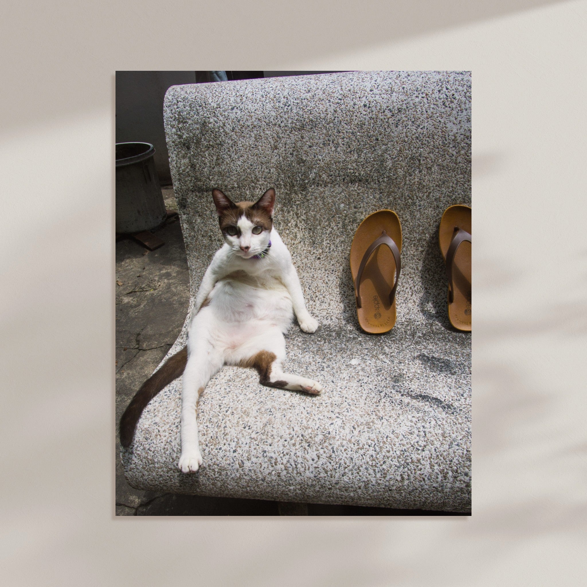 896c8fe9-abb3-4390-975c-adcf9884e7a0