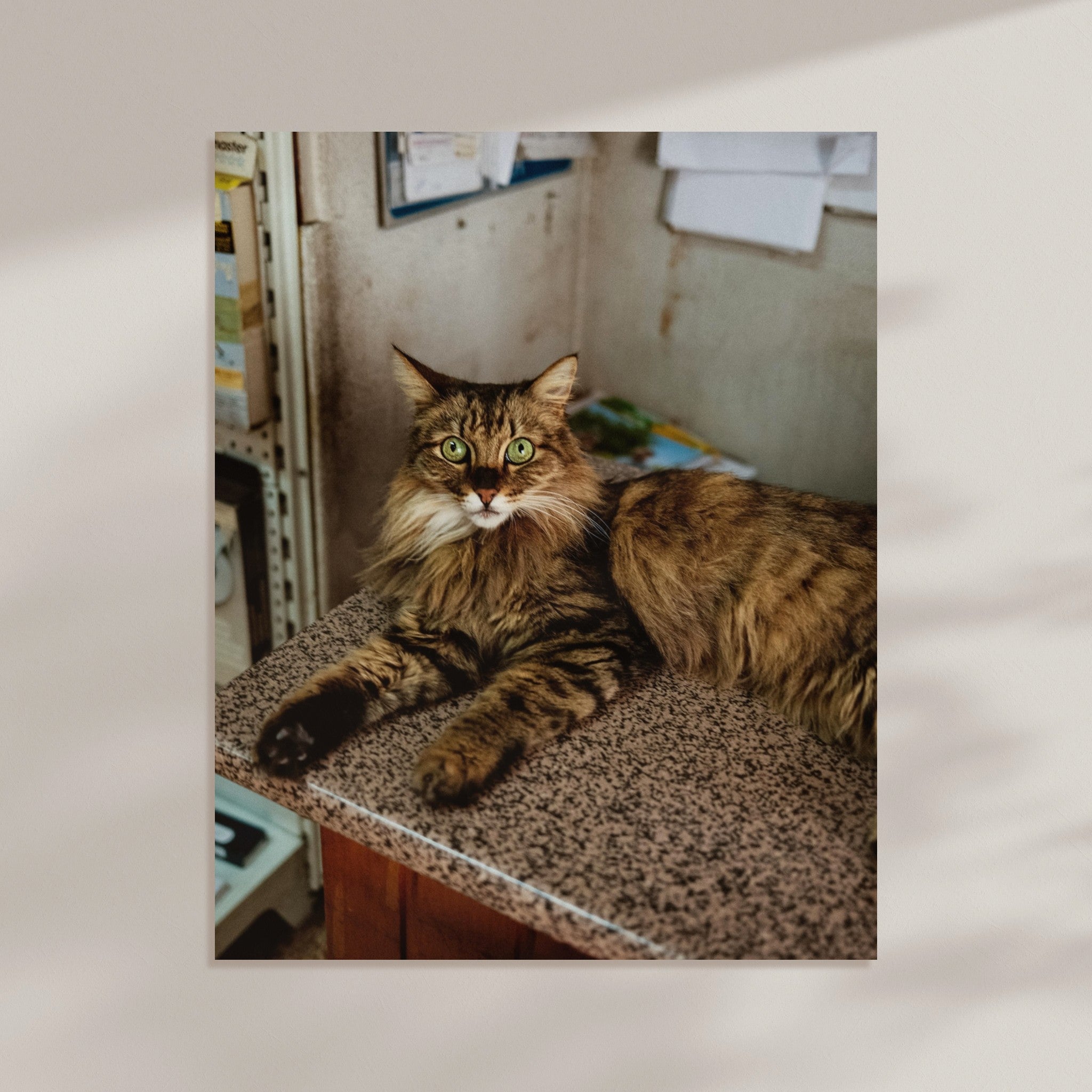 9d898ba9-d76d-47b1-a2c6-d8973ecfde72