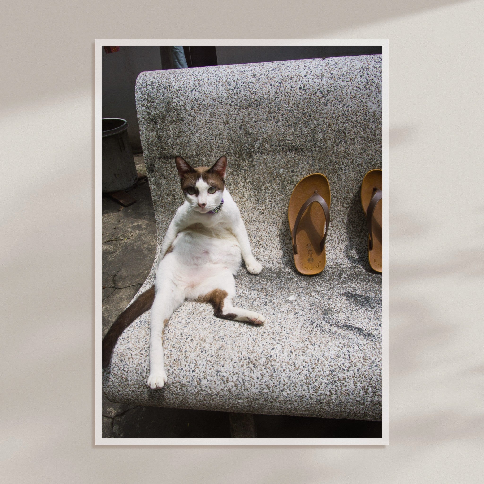 a4a0bc4e-b76a-4a5a-875d-901a6a41c220