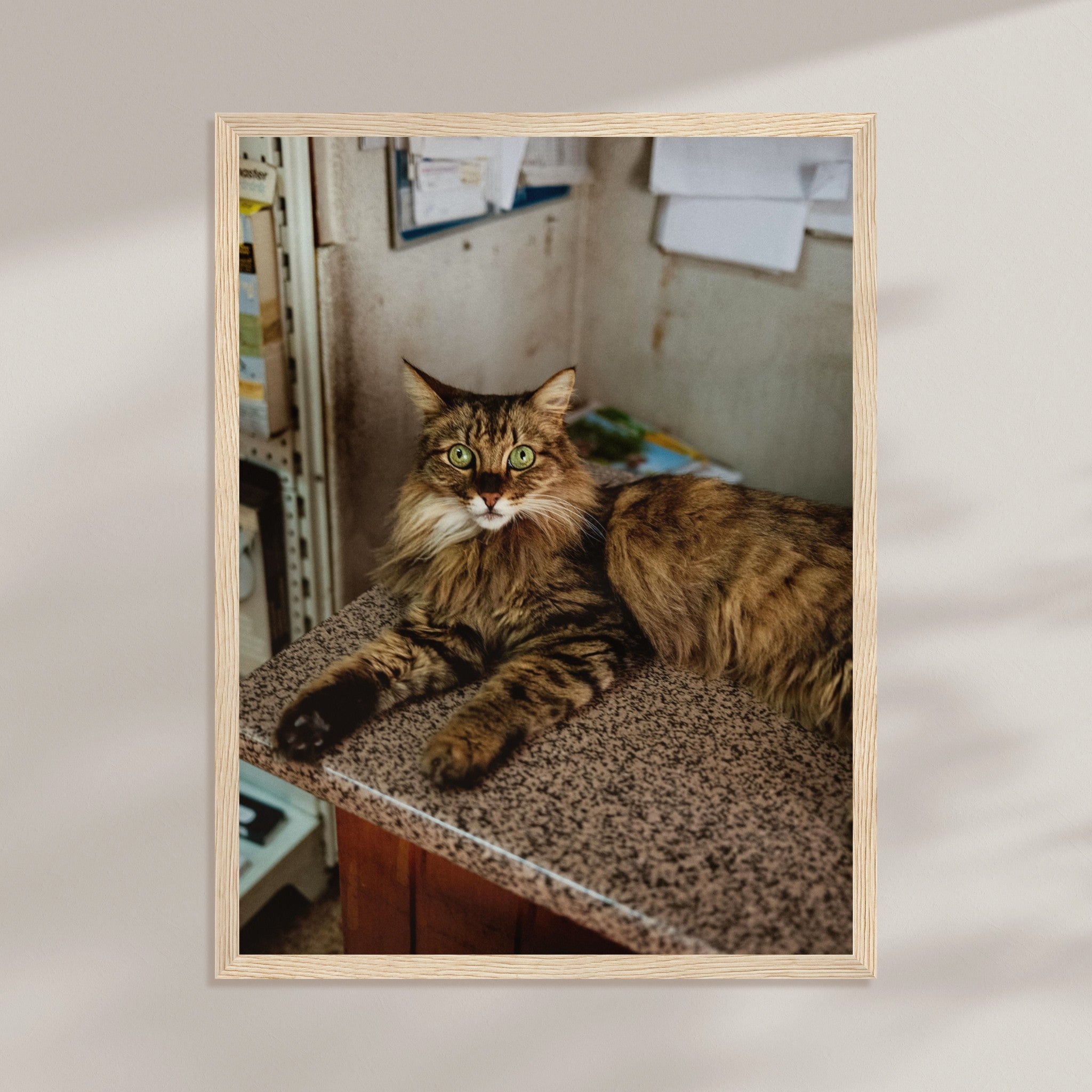 a5215fc6-64fe-488a-a46c-254c3151e4d7