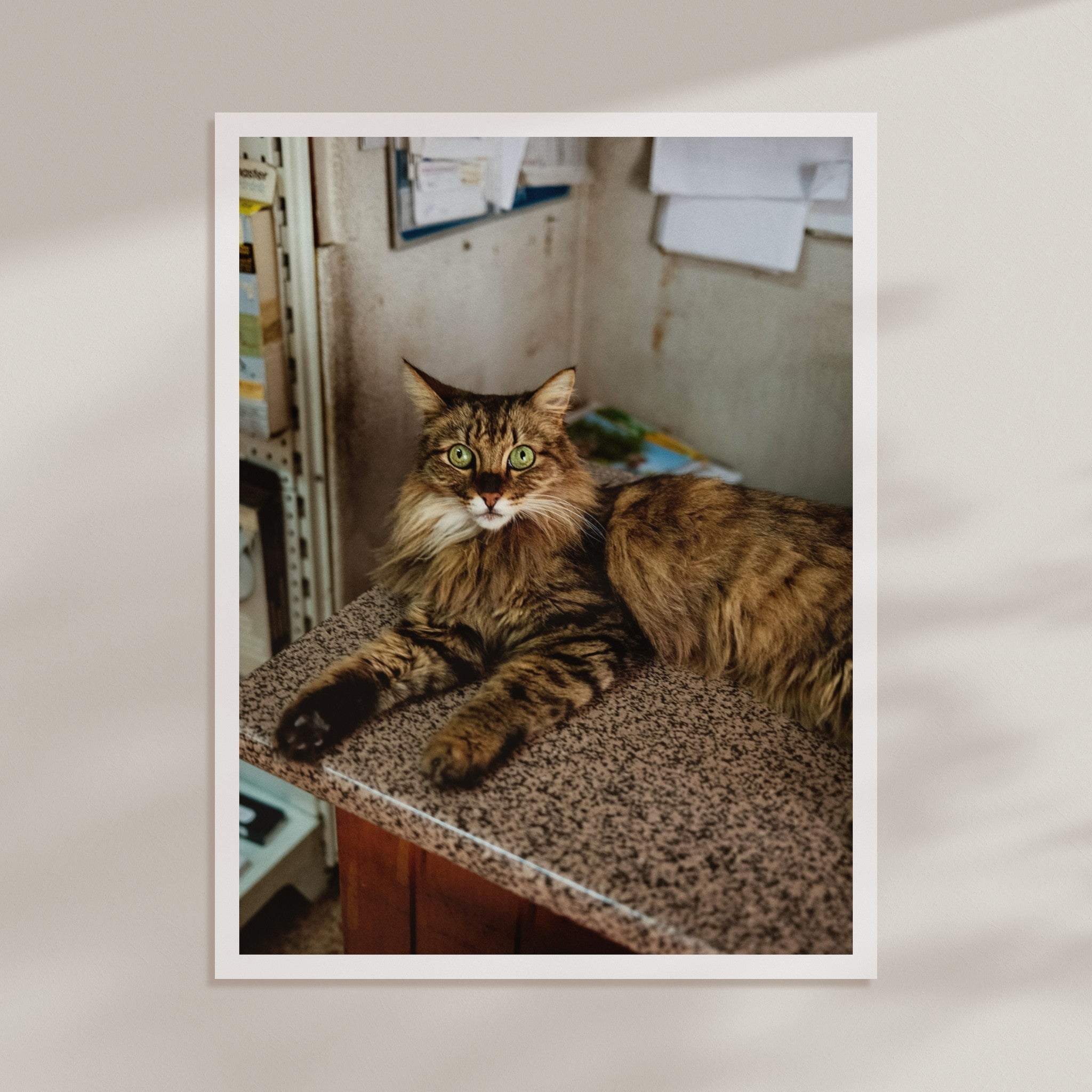 b00b287a-8b44-40cc-bc1a-422bd7110ec9