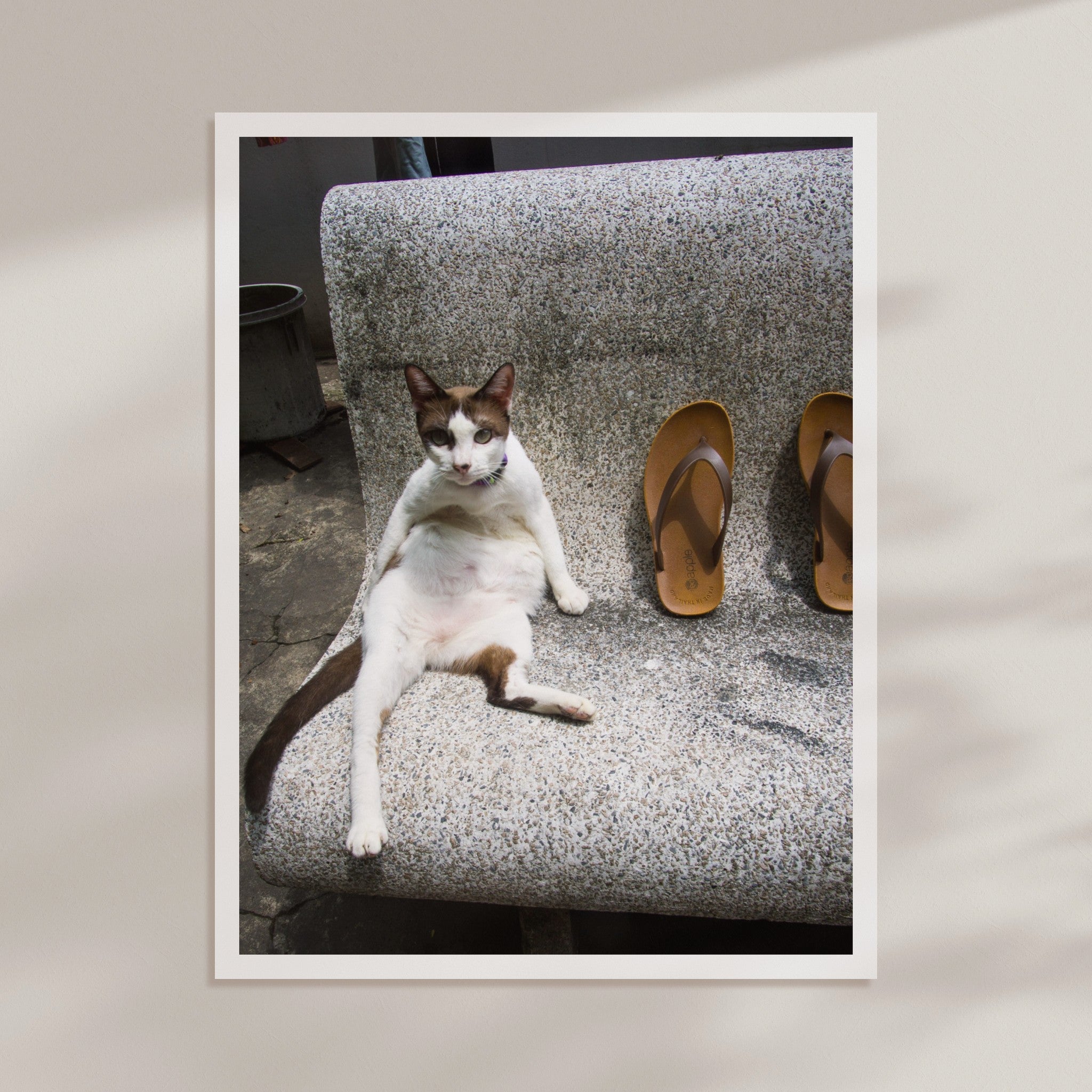 b7e8640a-e88f-4bf3-b54d-cbc09dfc2f56