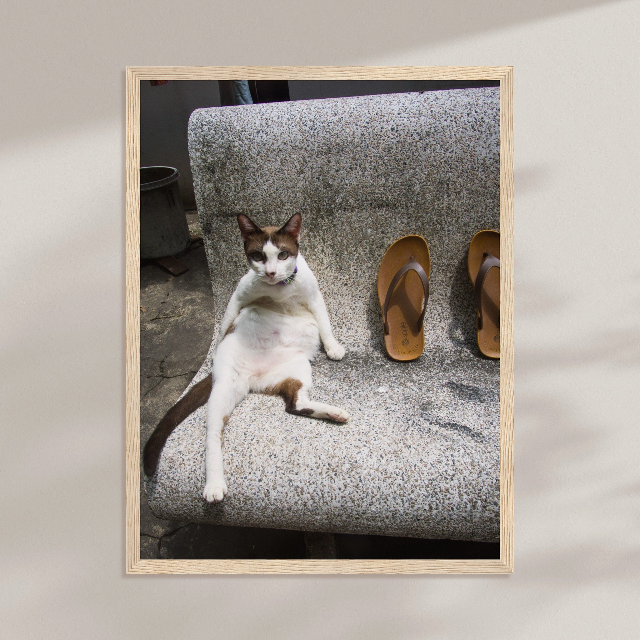 be269433-bd39-400a-84c8-6d8ff9ed51be