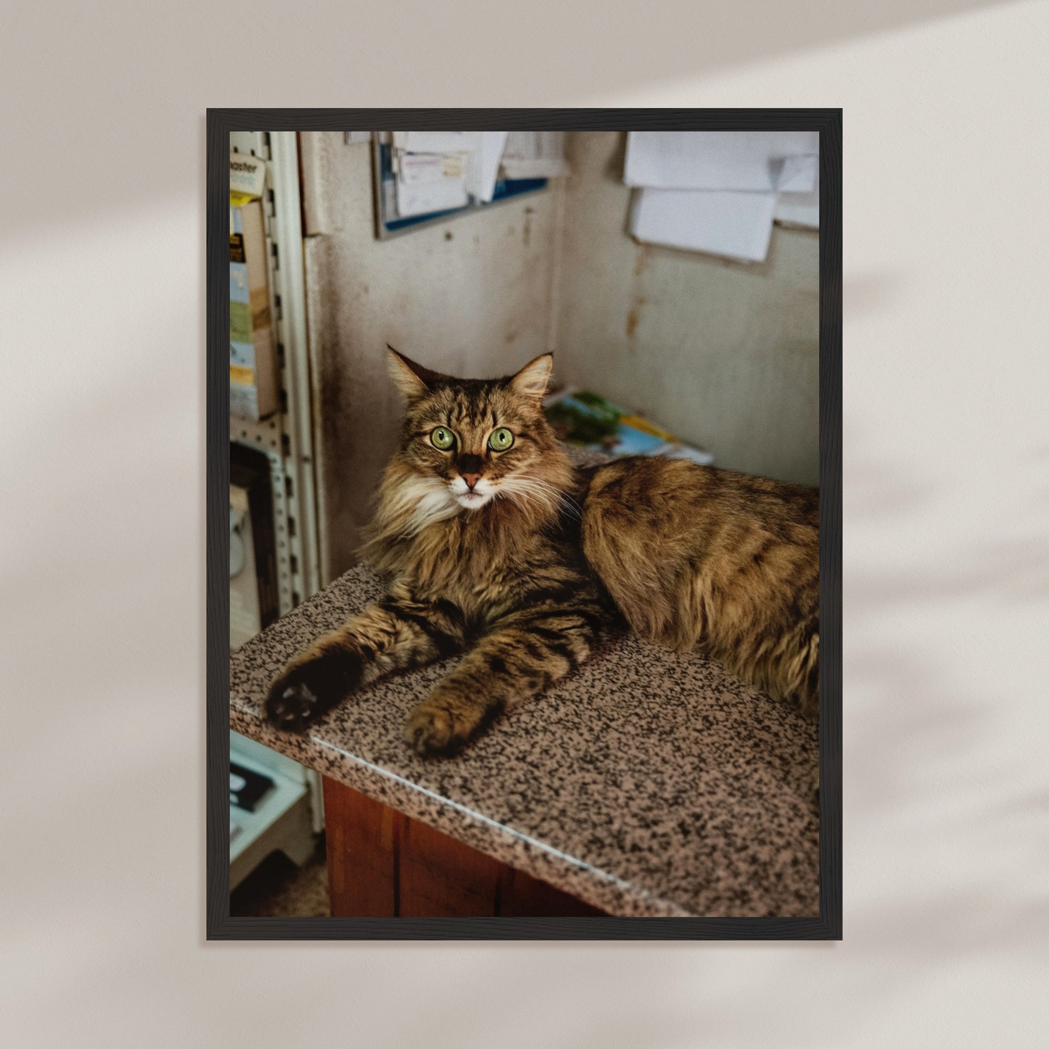 c9016e4d-3ab5-4fbc-b560-9c528f0a14a4