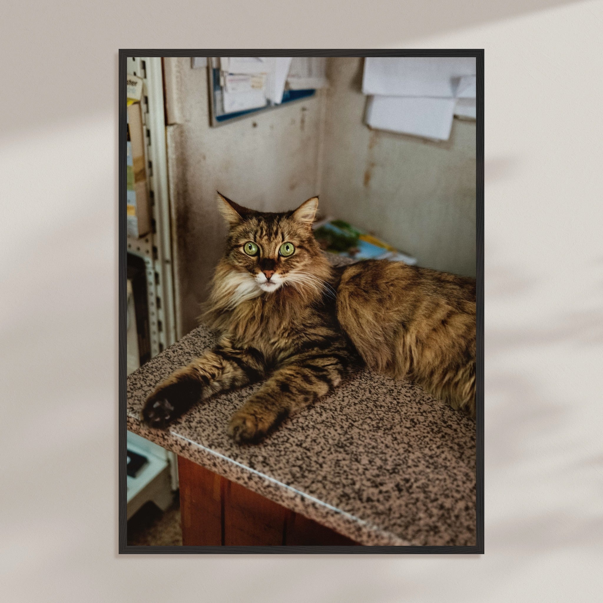 d514b151-042d-4688-abf8-6d54a2f39b0b