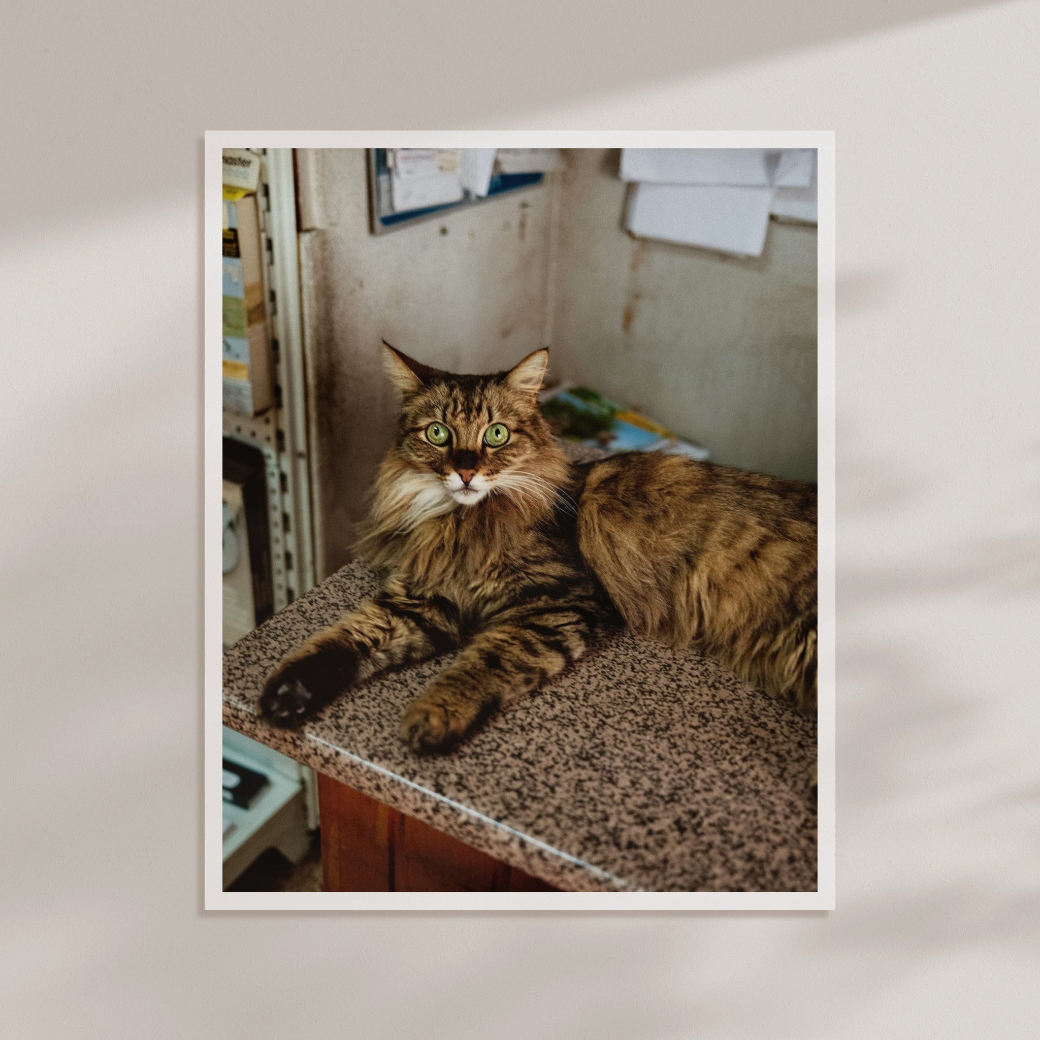 dae8da37-a4ab-4495-a0f2-32963c360c1c