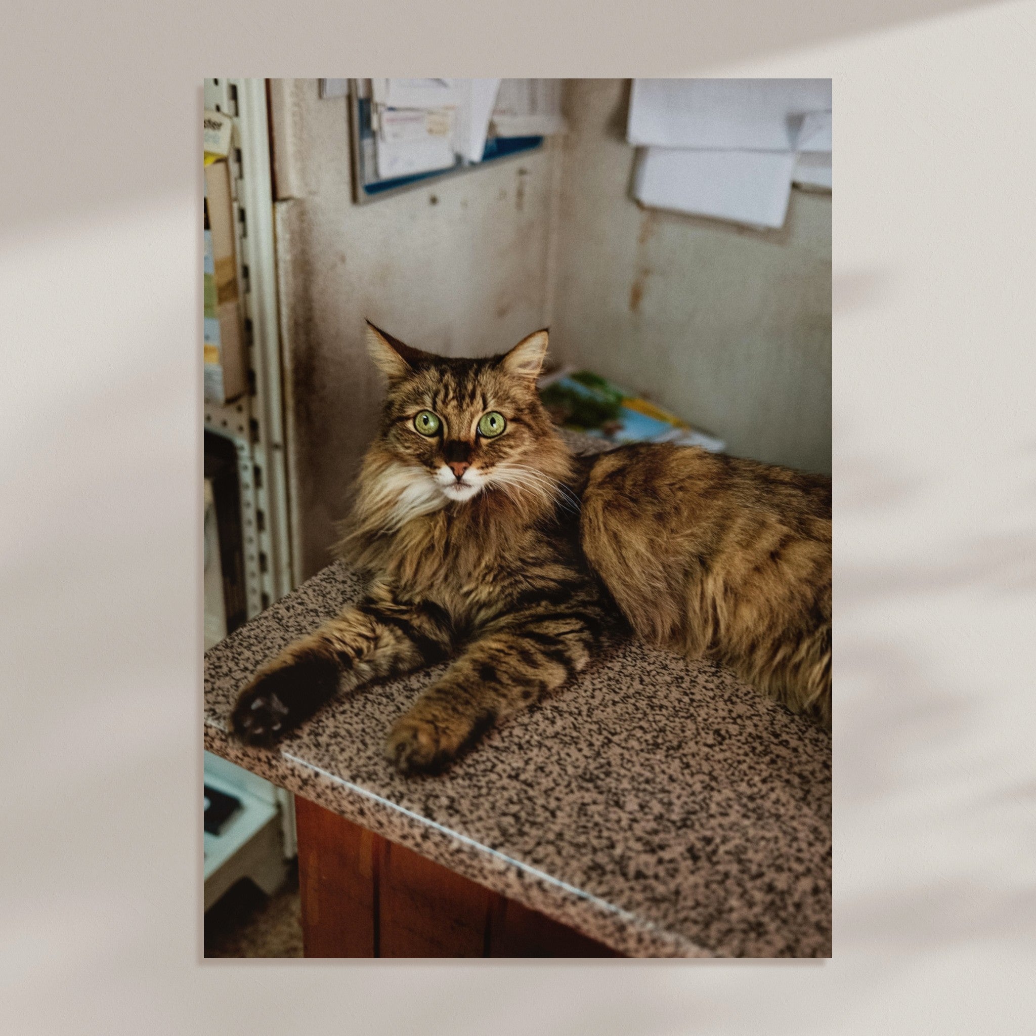 e148ab08-a827-4d47-86d3-c2d75fd63149