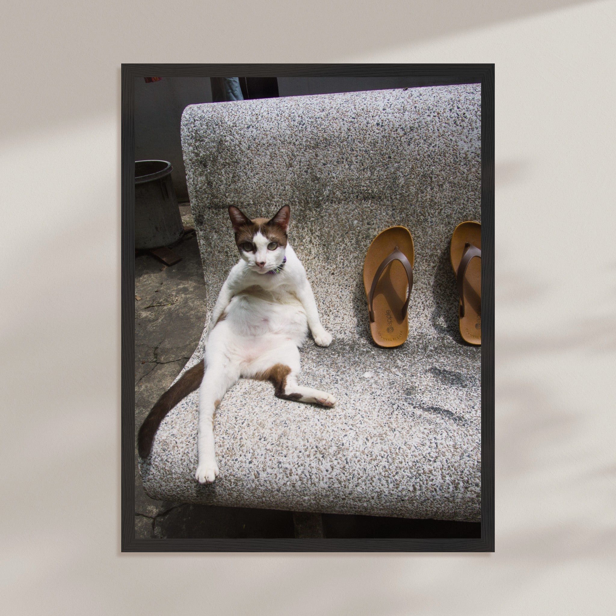 ebc077a1-d250-4e5d-8746-0699629aa49e