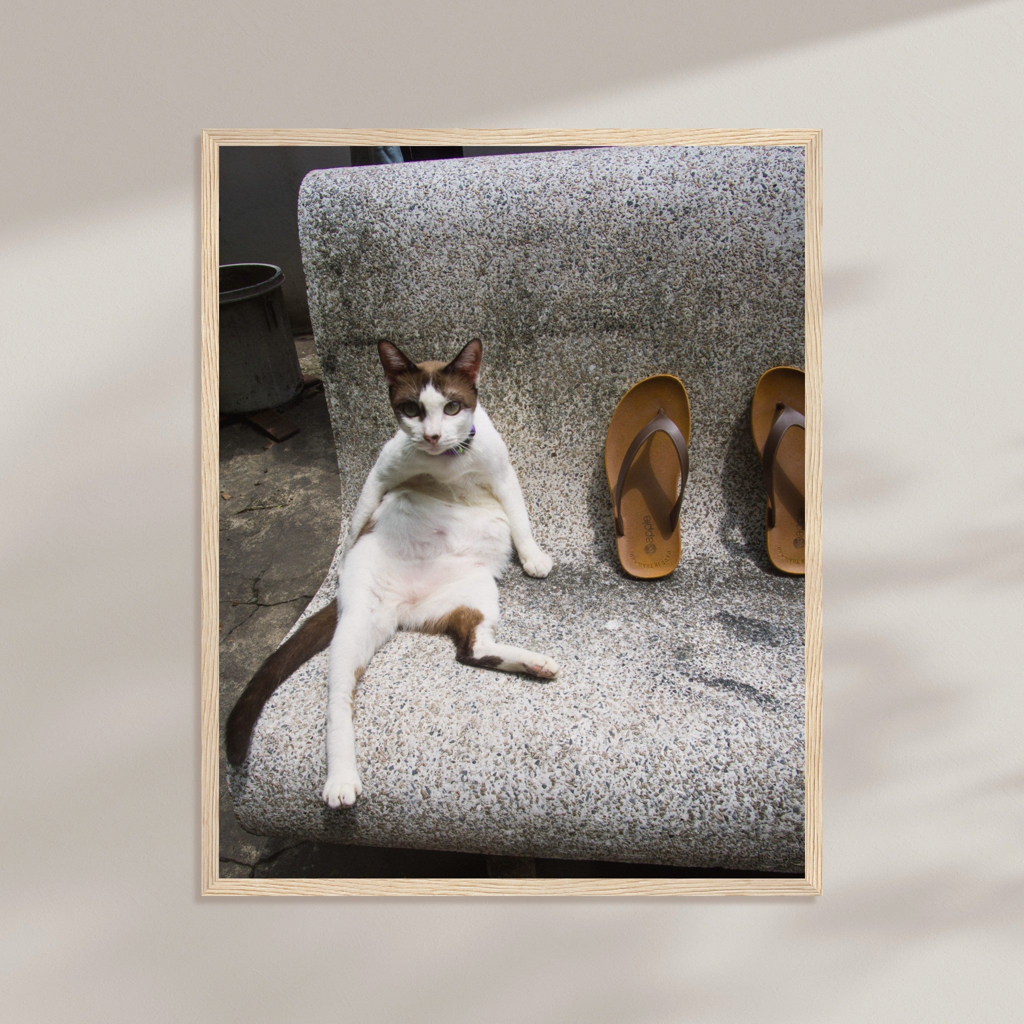 f52e3e52-82fc-4d02-bb67-7ad01d6bd4f0