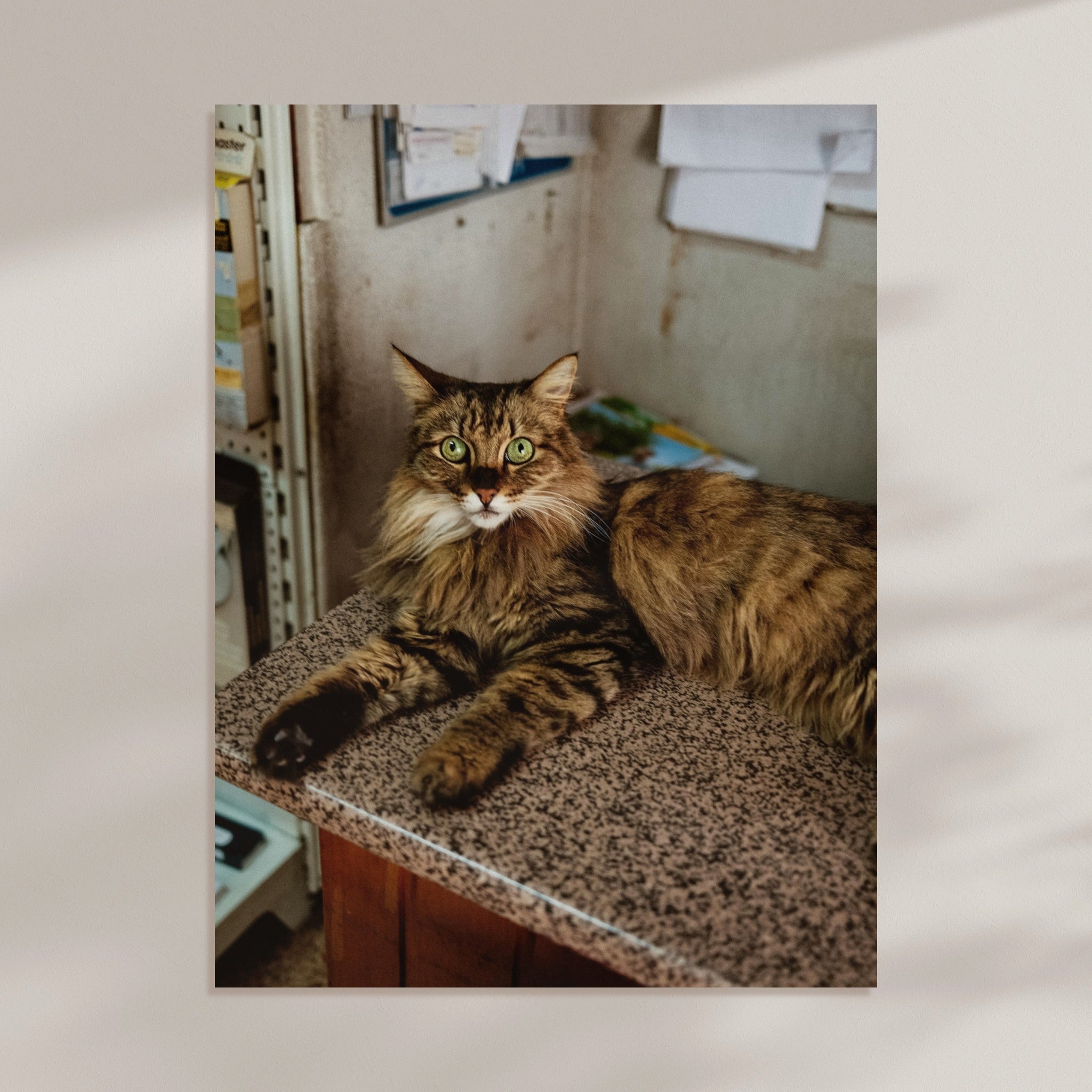 fe7a041e-9d84-451b-950a-c860b07ccfb9